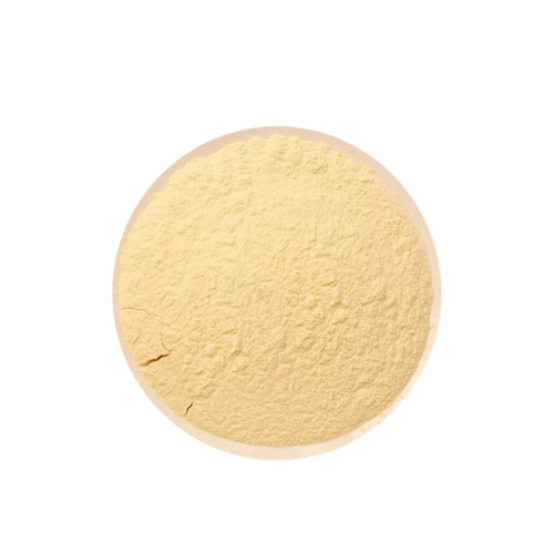 Noni Juice Powder