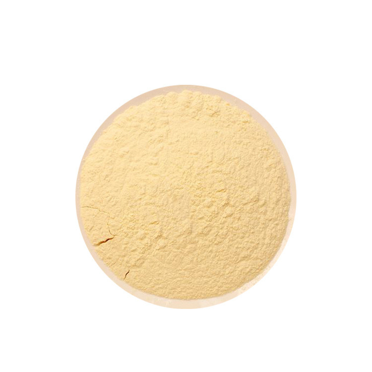 Noni Juice Powder