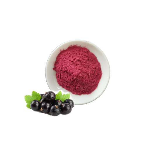 Indian Black Currant Juice Powder