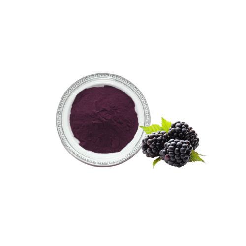 Blackberry juice powder
