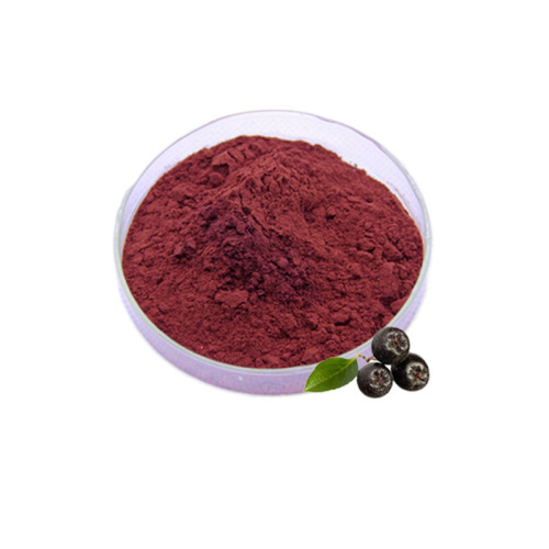 Aronia melanocarpa Elliot juice powder