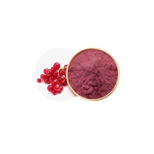 Cranberry Juice Powder