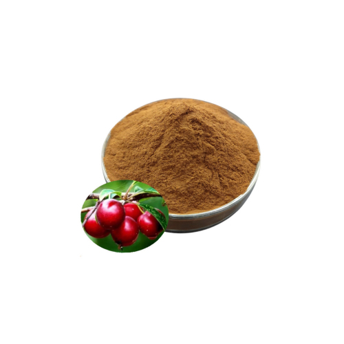 Chinese dwarf cherry juice powder
