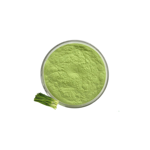 Leek juice powder
