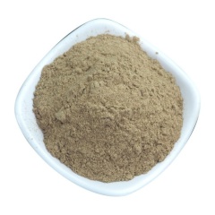Bearberry Extract Powder
