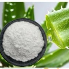 Aloe Vera Extract powder