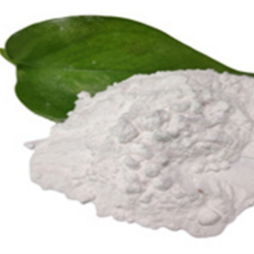 Fish Collagen Peptide