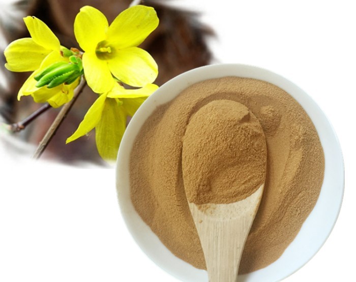 Forsythia Extract powder