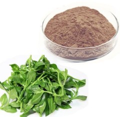 Andrographis paniculata extract