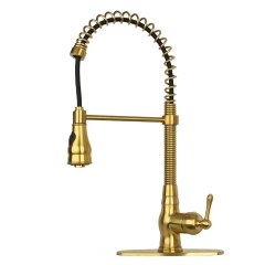 Akicon™ Pre-Rinse Spring Kitchen Faucet , Single Handle Solid Brass High Arc Pull Down Sprayer Head Kitchen Sink Faucet with Deck Plate - Brushed Gold