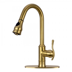 Akicon™ Brushed Gold Pull Out Kitchen Faucet, Single Level Solid Brass Kitchen Sink Faucets with Pull Down Sprayer