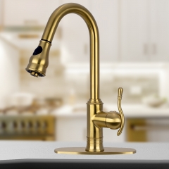 Akicon™ Brushed Gold Pull Out Kitchen Faucet, Single Level Solid Brass Kitchen Sink Faucets with Pull Down Sprayer