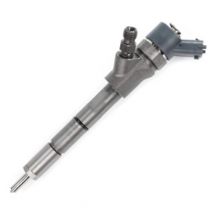 Bosch Injector 0445110307  , 0445 110 307