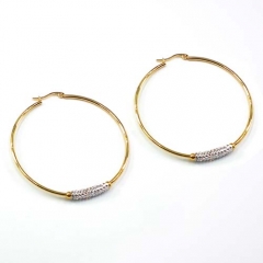 Stainless steel jewelry earrings