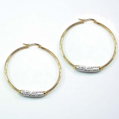 Stainless steel jewelry earrings