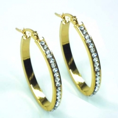 Stainless steel jewelry earrings