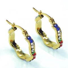 Stainless steel jewelry earrings