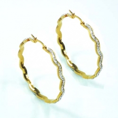 Stainless steel jewelry earrings