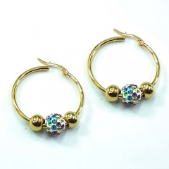 Stainless steel jewelry earrings