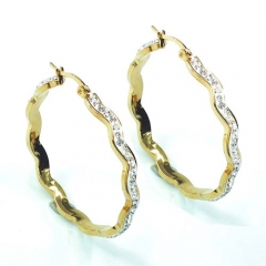 Stainless steel jewelry earrings