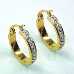 Stainless steel jewelry earrings