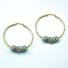 Stainless steel jewelry earrings