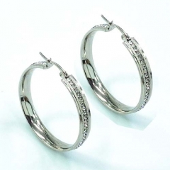 Stainless steel jewelry earrings
