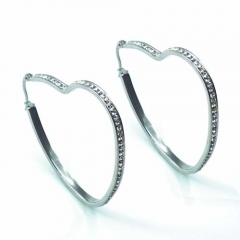 Stainless steel jewelry earrings