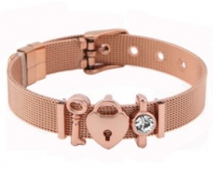 Stainless steel mesh bracelet + Alloy accessories Keeper woman bracelet