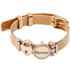 Stainless steel mesh bracelet + Alloy accessories Keeper woman bracelet