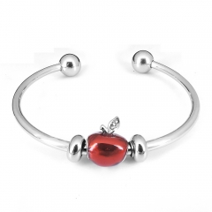 Stainless steel jewelry Pandor a Charms Bracelet wholesale