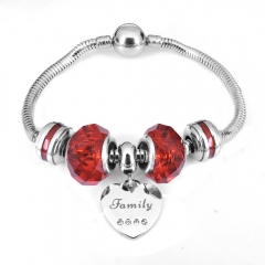 Stainless steel jewelry Pandor a Charms Bracelet wholesale