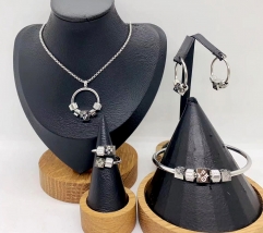 Stainless steel jewelry necklace earring bracelet ring Wholesale