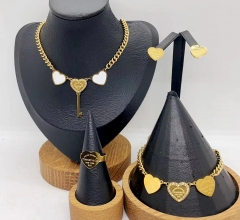 Stainless steel jewelry necklace earring bracelet ring Wholesale