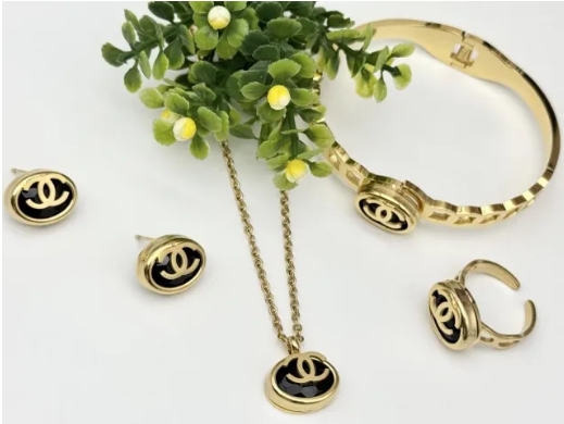 Stainless steel jewelry necklace earring bracelet ring Wholesale