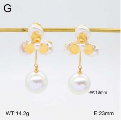 Stainless steel jewelry Earrings wholesale