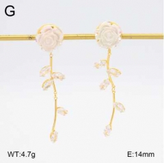 Stainless steel jewelry Earrings wholesale