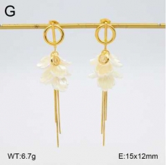 Stainless steel jewelry Earrings wholesale