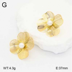 Stainless steel jewelry Earrings wholesale