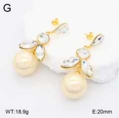 Stainless steel jewelry Earrings wholesale