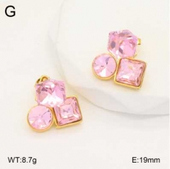 Stainless steel jewelry Earrings wholesale