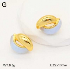 Stainless steel jewelry Earrings wholesale