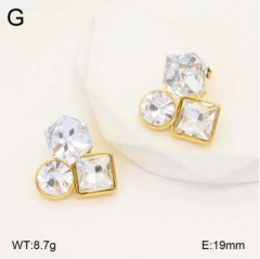 Stainless steel jewelry Earrings wholesale