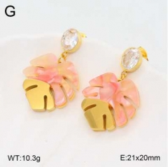 Stainless steel jewelry Earrings wholesale