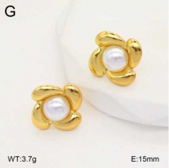 Stainless steel jewelry Earrings wholesale