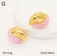 Stainless steel jewelry Earrings wholesale