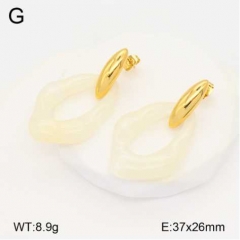 Stainless steel jewelry Earrings wholesale