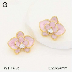 Stainless steel jewelry Earrings wholesale