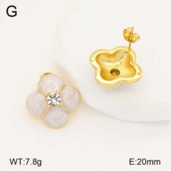 Stainless steel jewelry Earrings wholesale