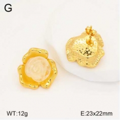 Stainless steel jewelry Earrings wholesale